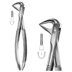 Forcep 74N Lower Incisor/Roots – Dentmed