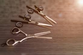 Barbar scissors