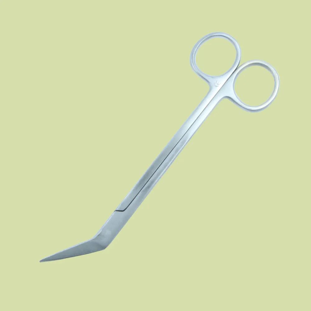 Beauty Scissors